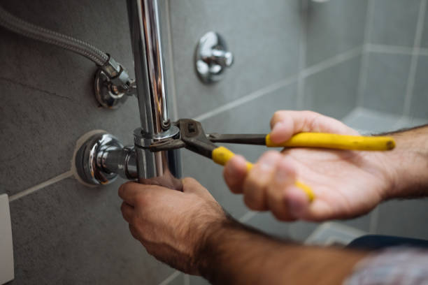 Best Commercial Plumbing Services  in Fennville, MI